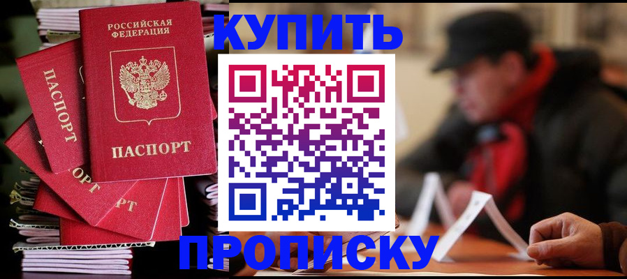 купить прописку в Елизово